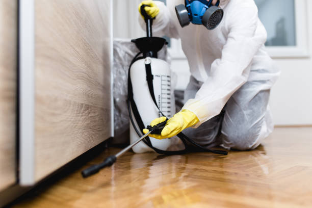 Flea Control Services in Milford, NE
