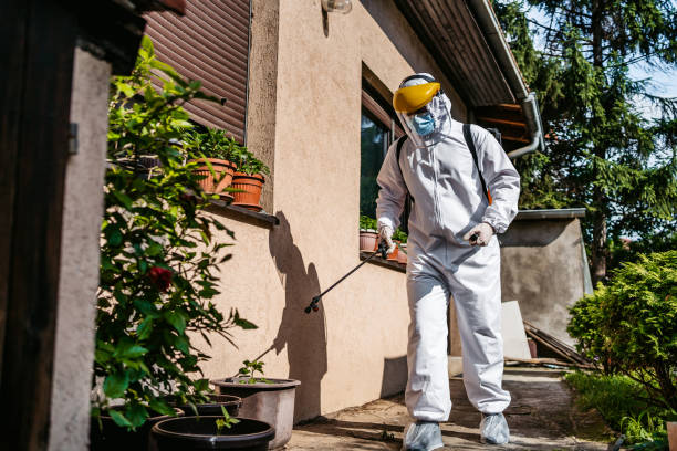 Wasp Removal Services in Milford, NE