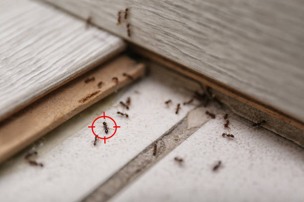 Best Pest Prevention Services  in Milford, NE