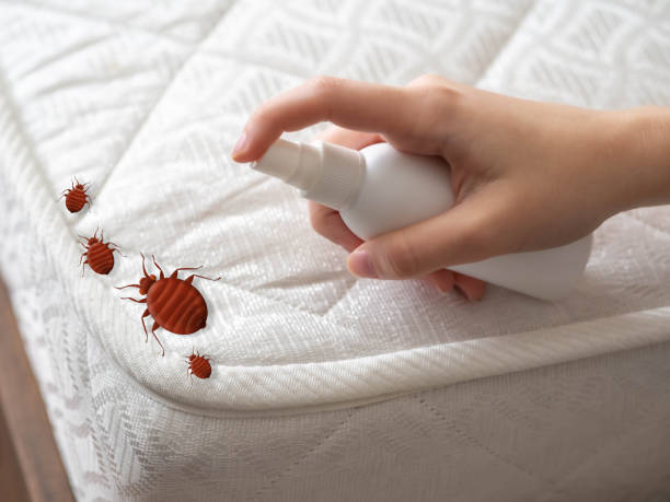 Best Pest Removal Services  in Milford, NE