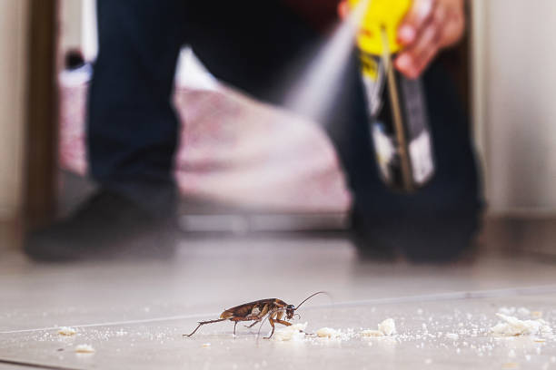 Best Affordable Pest Control Services  in Milford, NE