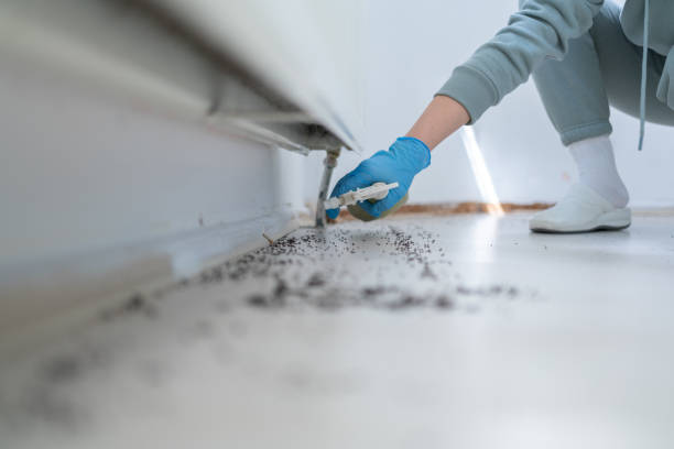 Best Commercial Pest Control Services  in Milford, NE